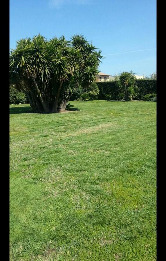 Garden Basement - Seminterrato Max 4 Ospiti - Fiumicino Vicino Aeroporto E Fiera Lejlighed Eksteriør billede