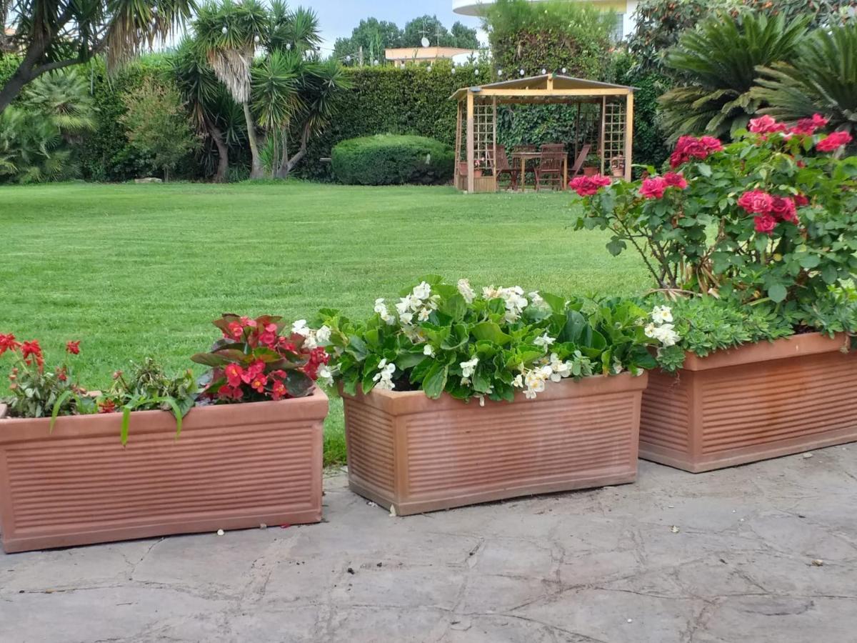 Garden Basement - Seminterrato Max 4 Ospiti - Fiumicino Vicino Aeroporto E Fiera Lejlighed Eksteriør billede