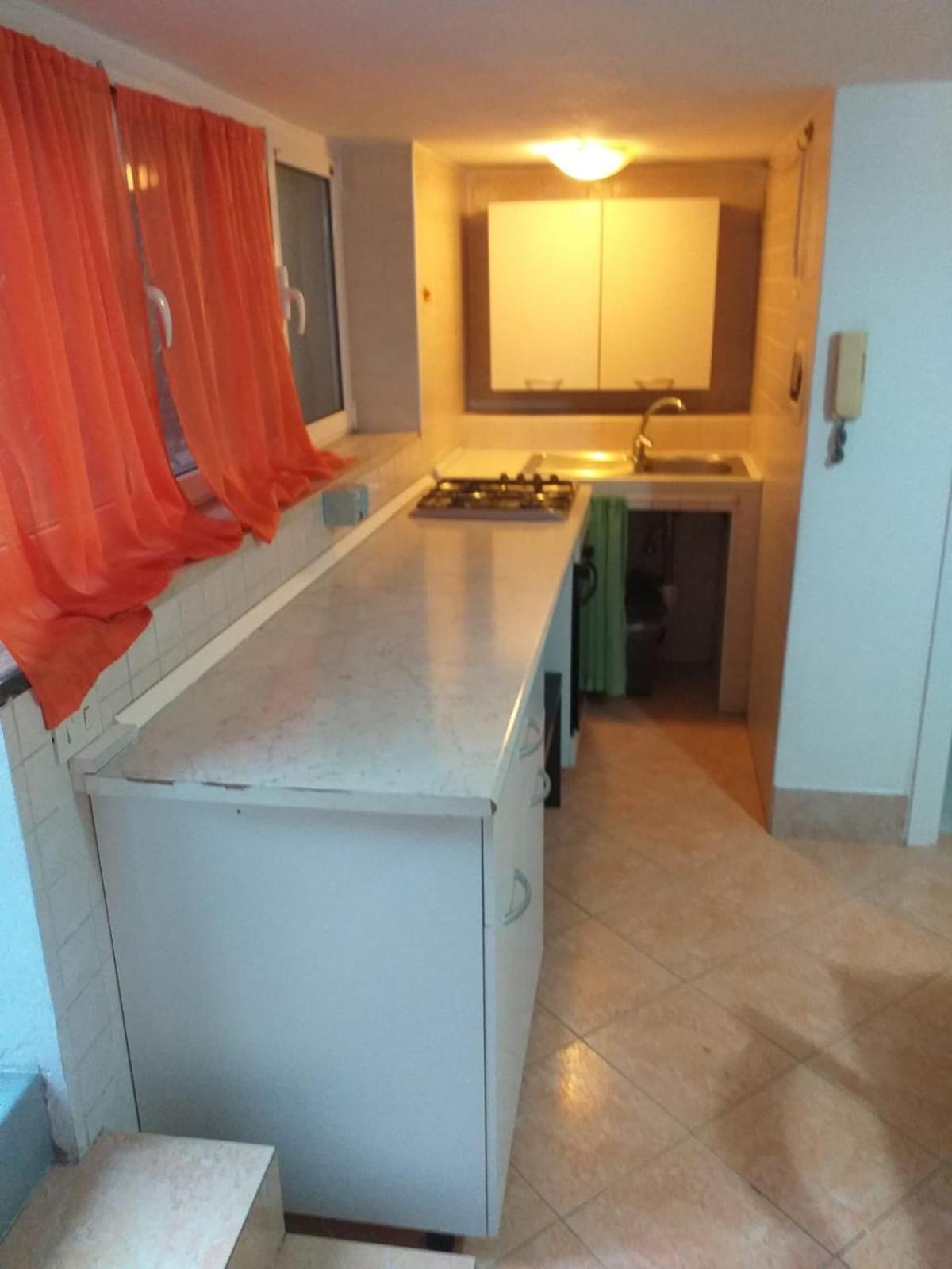 Garden Basement - Seminterrato Max 4 Ospiti - Fiumicino Vicino Aeroporto E Fiera Lejlighed Eksteriør billede
